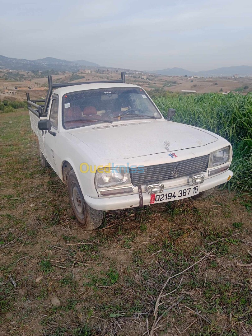 Peugeot 504 1987 Bâche