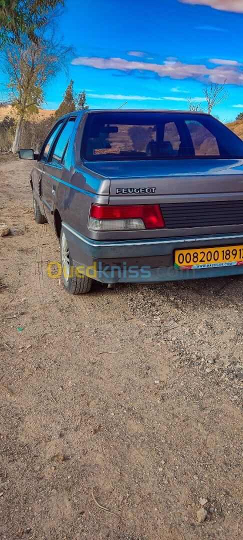 Peugeot 405 1989 405