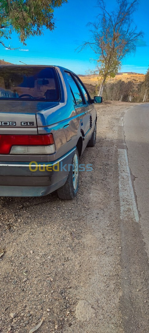 Peugeot 405 1989 405