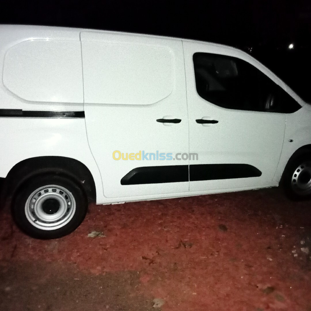 Fiat Doblo 2024 Professional