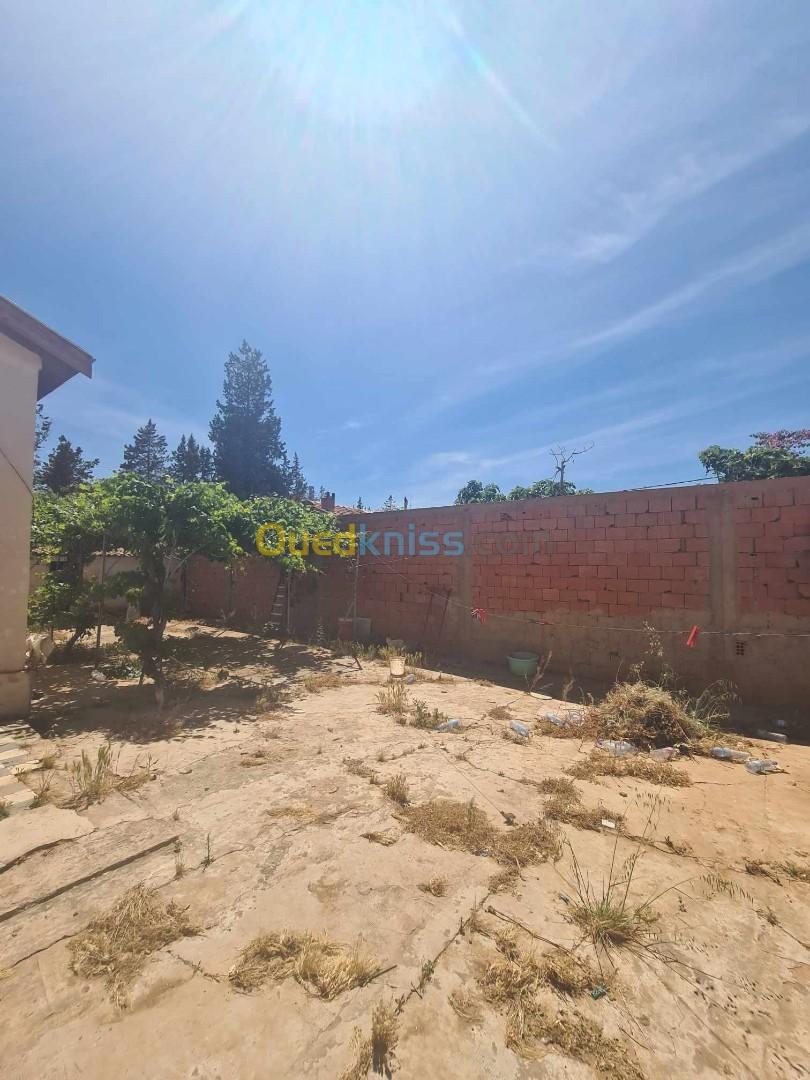 Vente Villa Saïda Saida