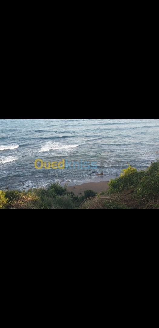 Vente Terrain Tizi Ouzou Azeffoun