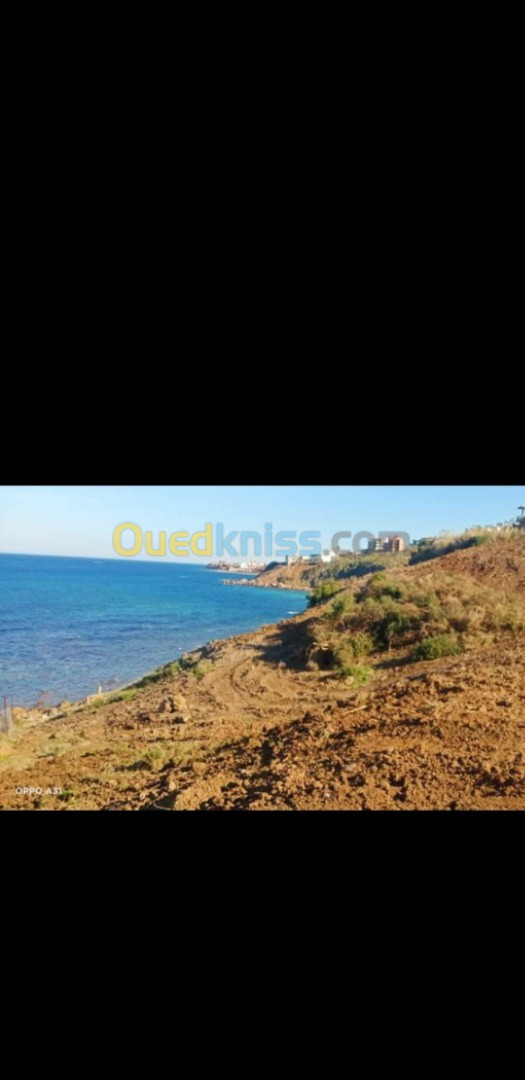 Vente Terrain Tizi Ouzou Azeffoun