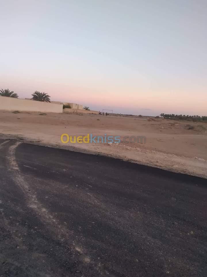 Vente Terrain Agricole Biskra Ourlala