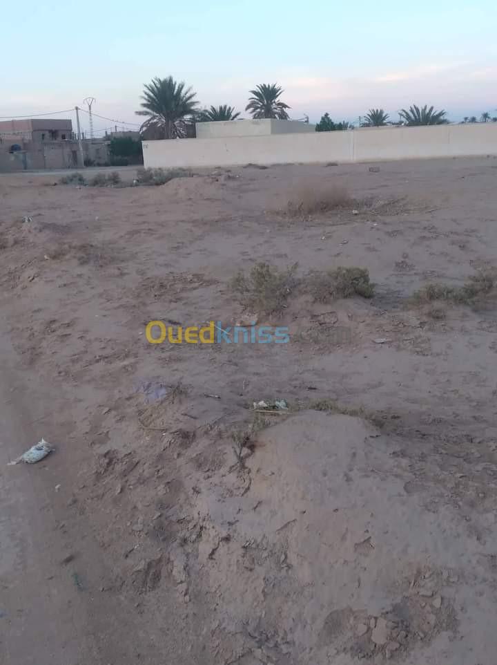 Vente Terrain Agricole Biskra Ourlala