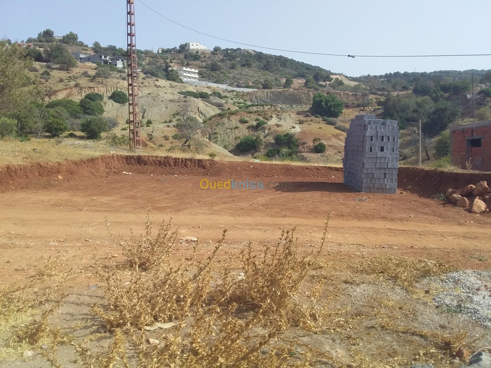 Vente Terrain Tlemcen Dar yaghmouracene