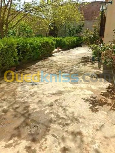 Vente Villa Djelfa Birine