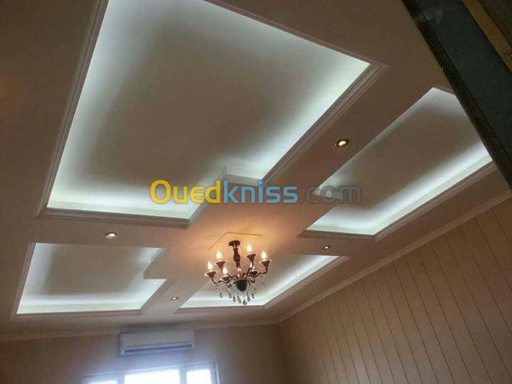 Faux plafond placoplatre. Aluminium Cl