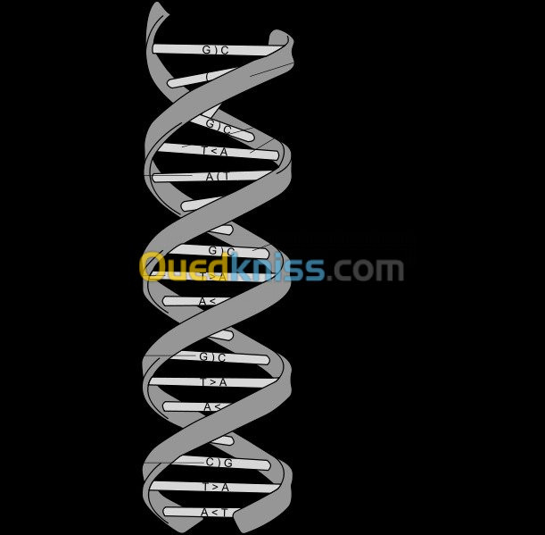 cours de soutien sciences naturelles