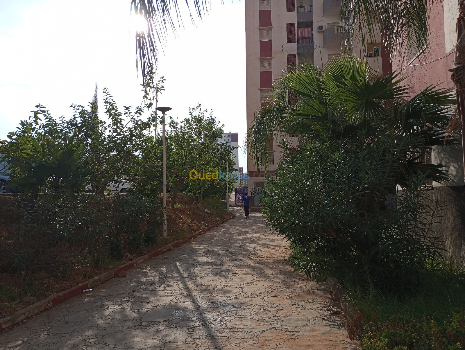 Vente Appartement F4 Blida Bouinan