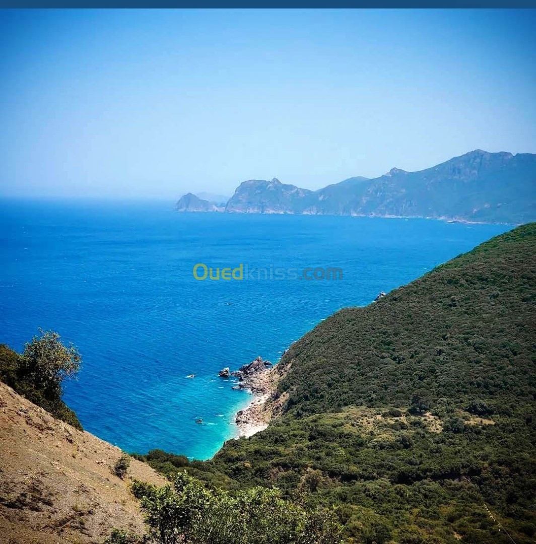 Vente Terrain Annaba Seraidi