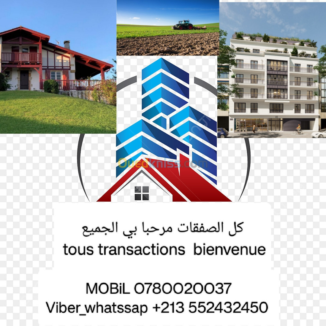 Cherche achat Terrain Agricole Djelfa Djelfa