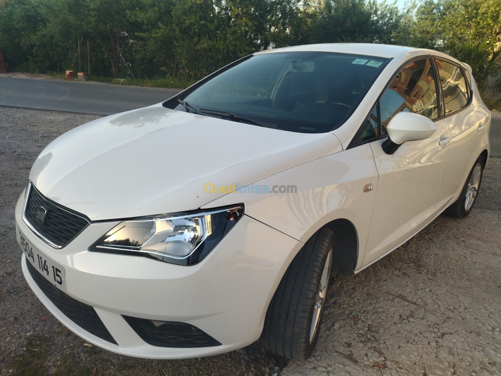 Seat Ibiza 2014 Sport Edition