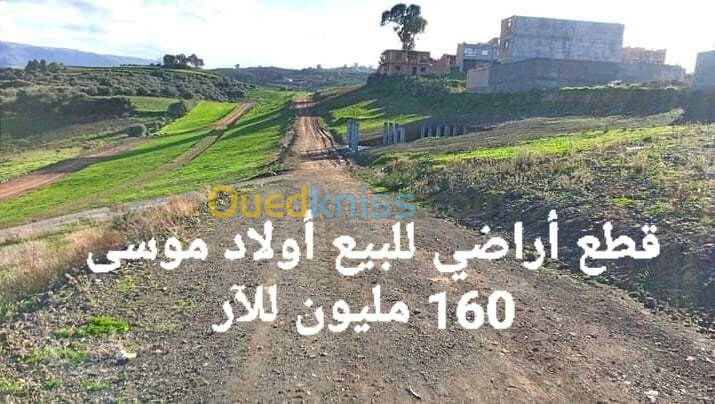 Vente Terrain Boumerdès Ouled moussa