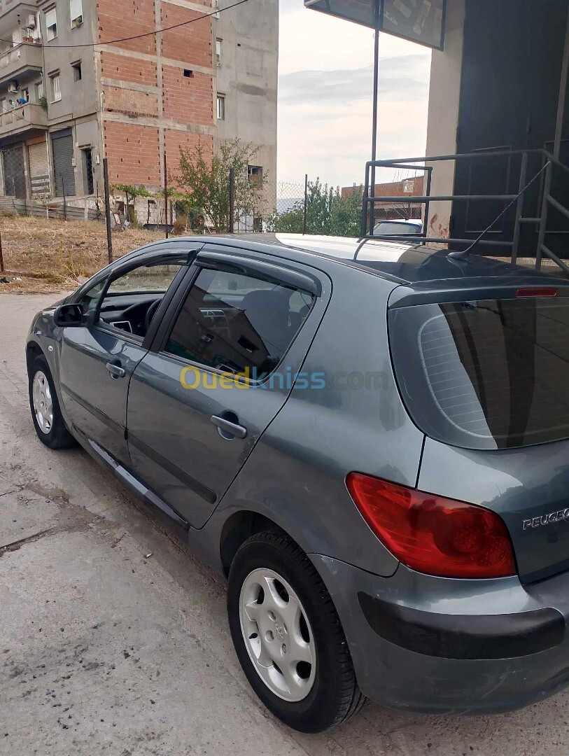 Peugeot 307 2006 307