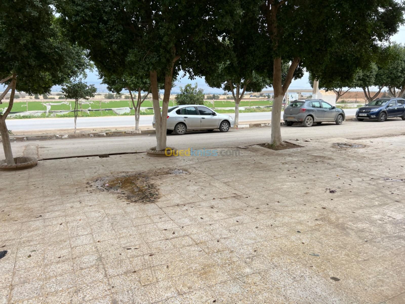 Vente Villa Relizane Oued rhiou