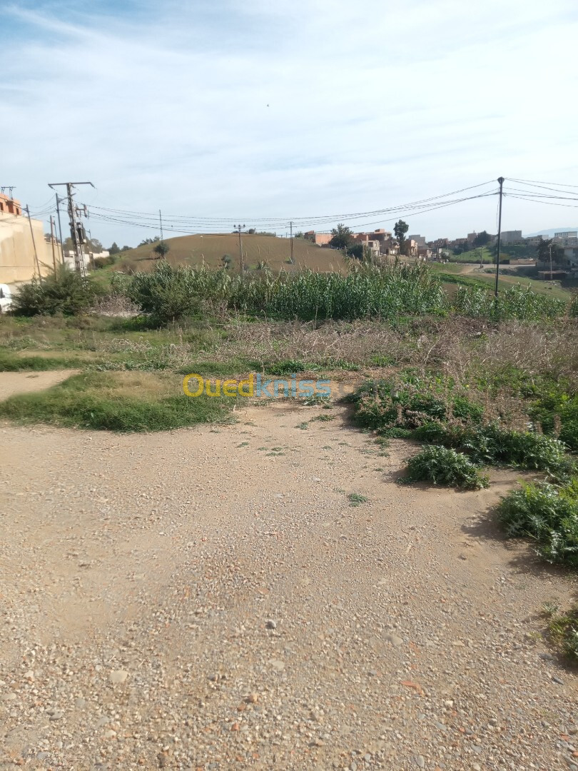 Vente Terrain Alger Zeralda