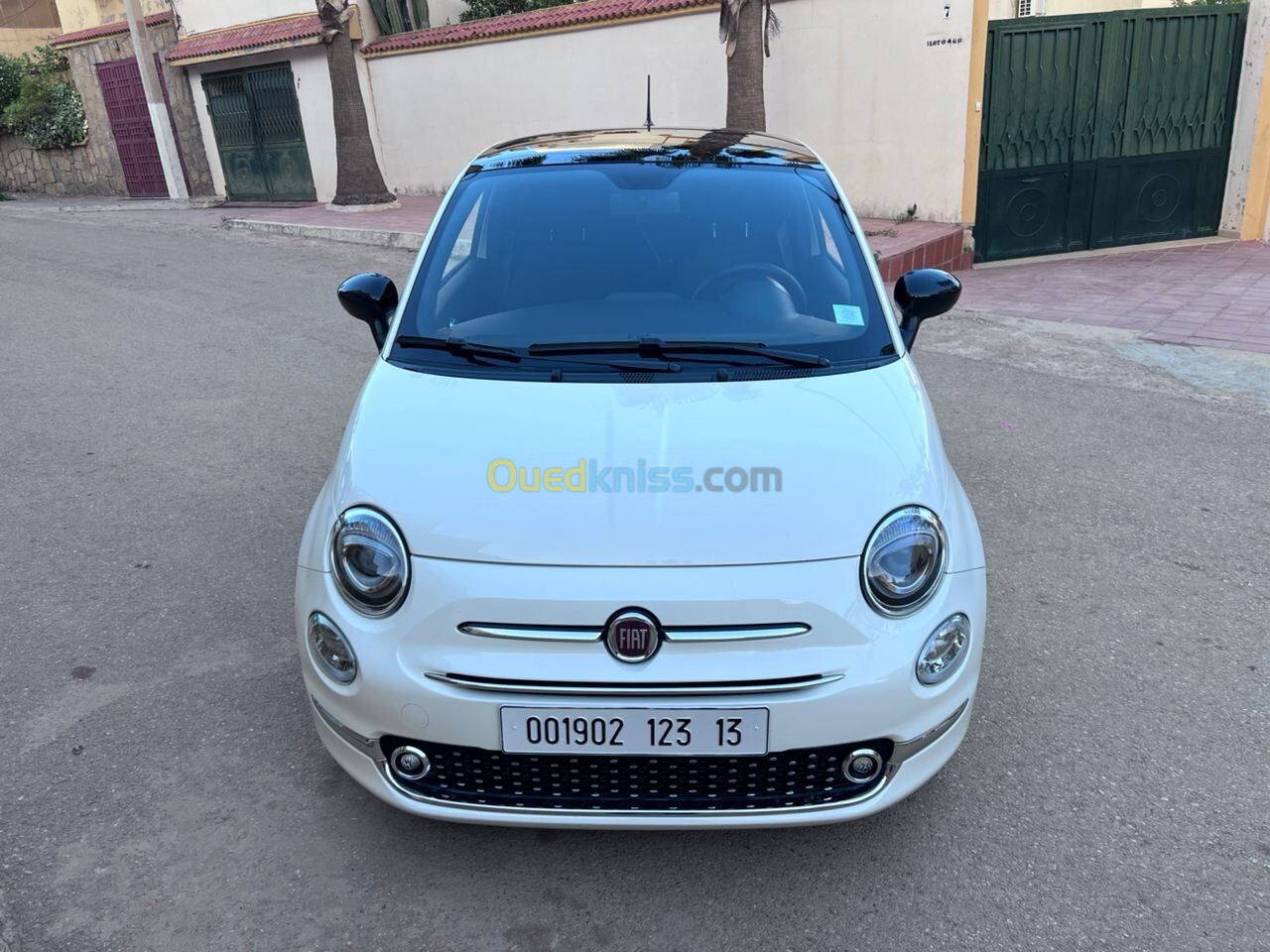 Fiat 500 2023 Club