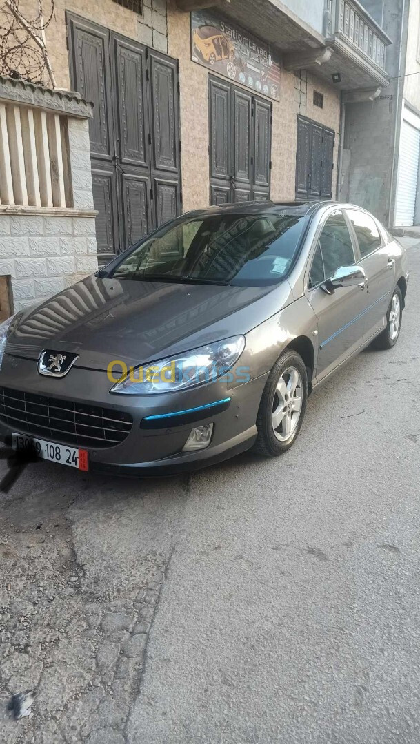 Peugeot 407 2008 407