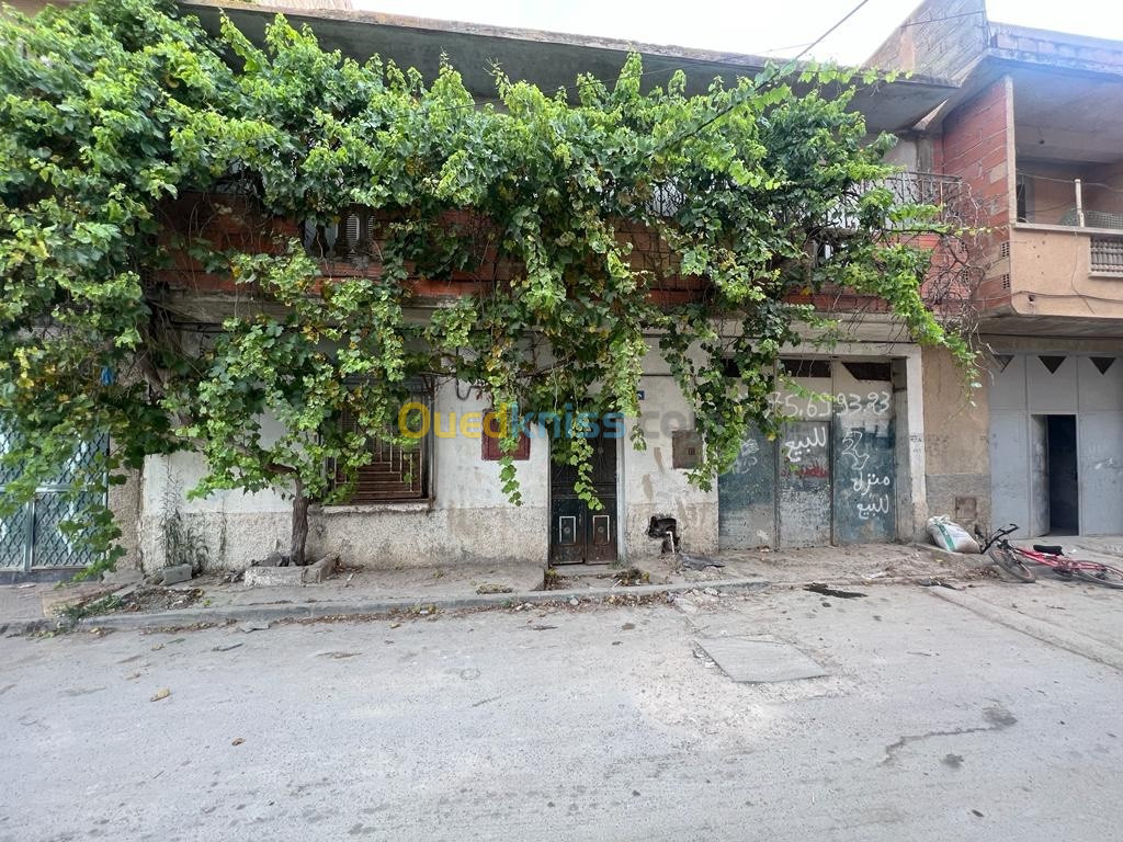 Sell Building Setif Guelal