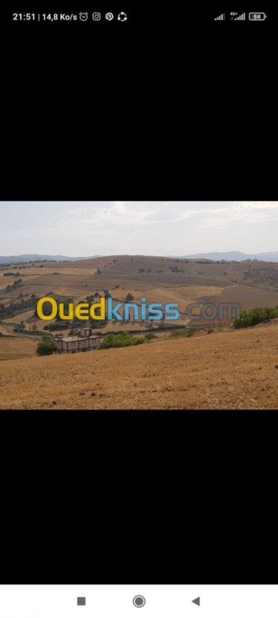 Vente Terrain Agricole Tizi ouzou Ain zaouia