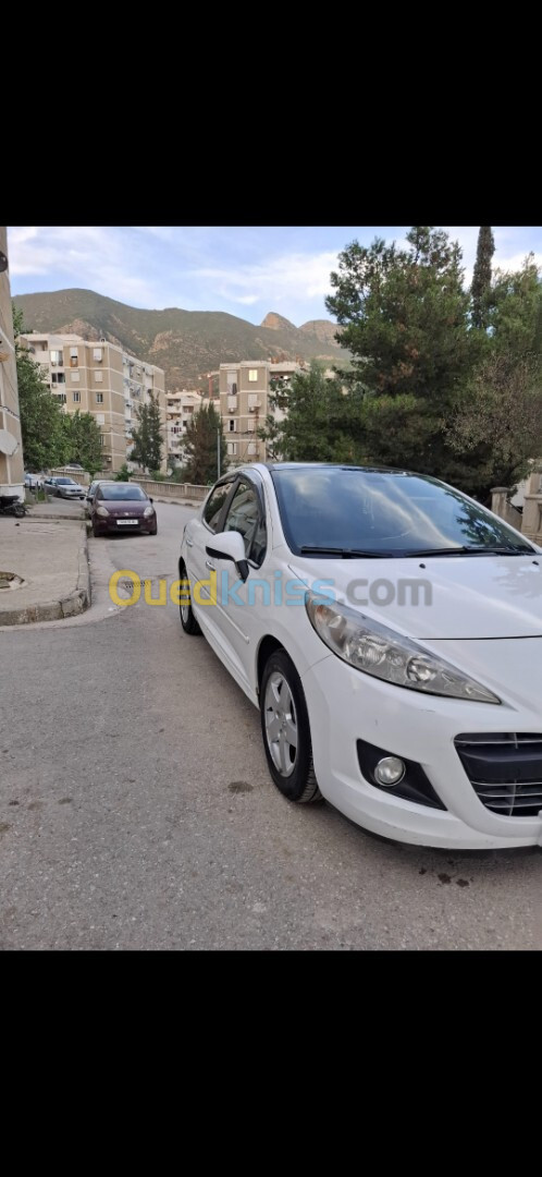 Peugeot 207 2012 Fennec