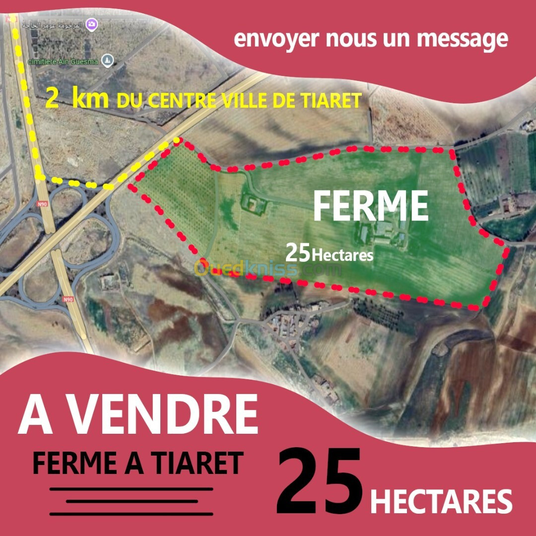 Vente Terrain Agricole Tiaret Tiaret