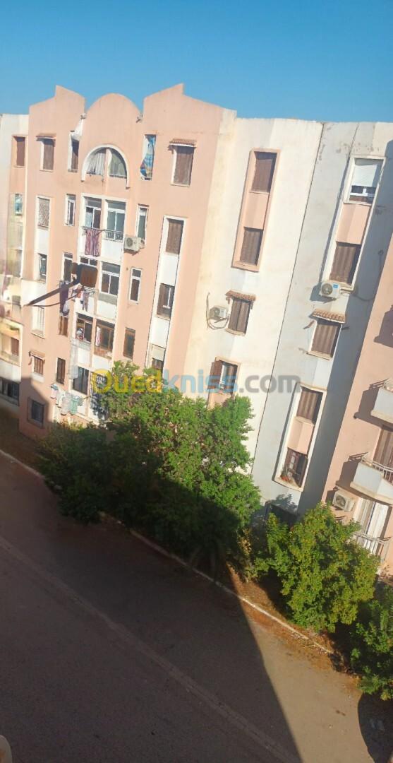 Location Appartement F3 Alger Les eucalyptus