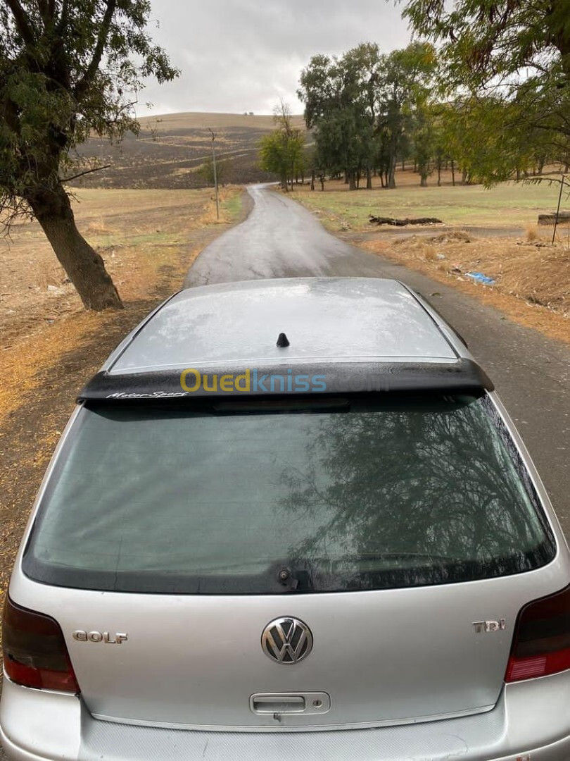 Volkswagen Golf 4 2002 Golf 4