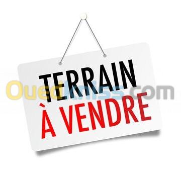 Vente Terrain Alger Staoueli