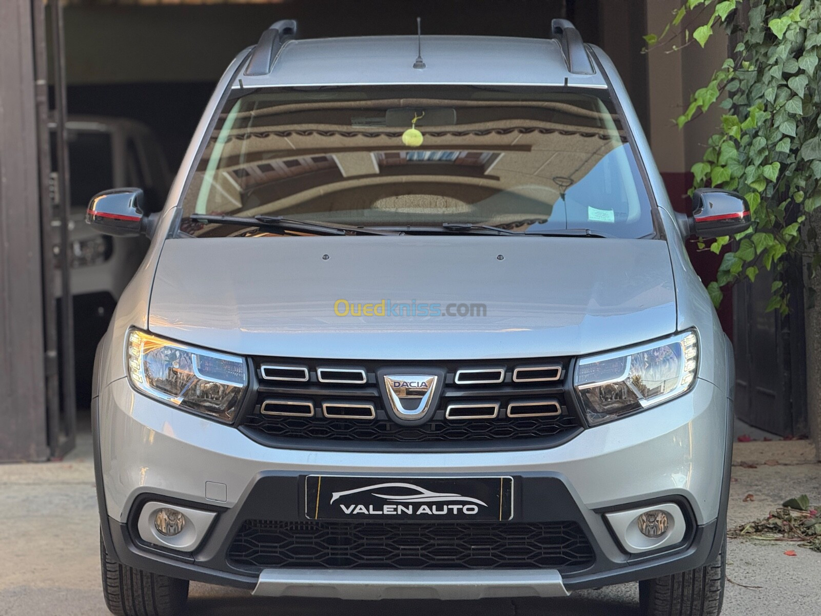 Dacia Sandero 2019 Stepway Techroad