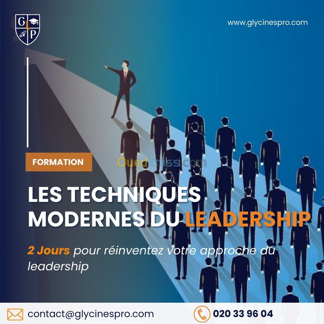 Les techniques modernes du leadership 