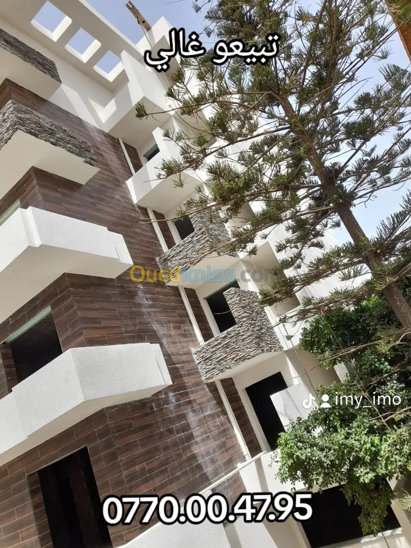 Vente Appartement F3 Alger El madania