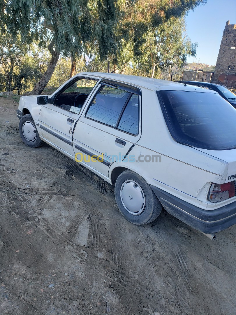 Peugeot 309 1991 309