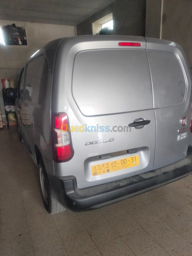 Fiat Doblo 2024 Professionnel