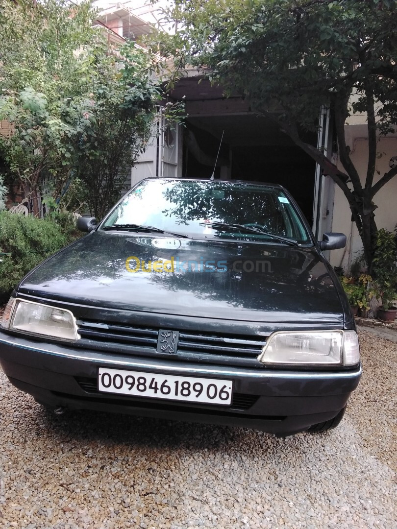 Peugeot 405 1989 405