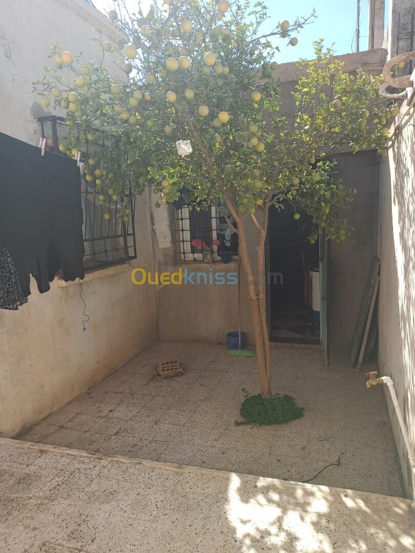 Vente Niveau De Villa F3 Aïn Témouchent El amria