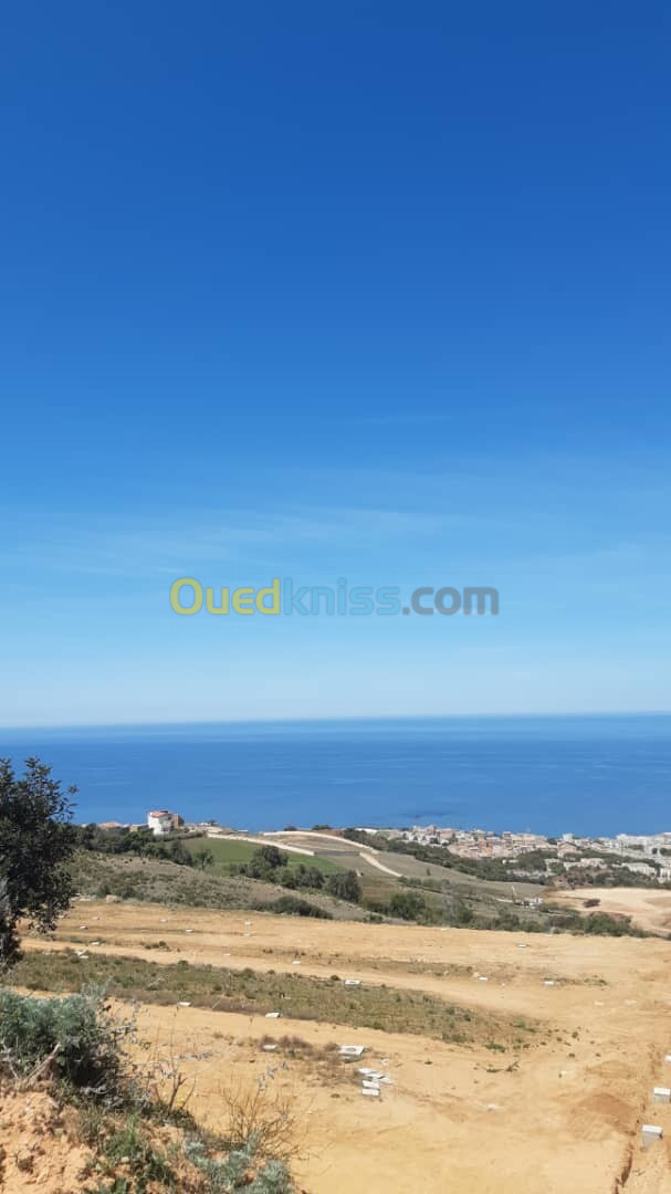 Vente Terrain Tipaza Cherchell