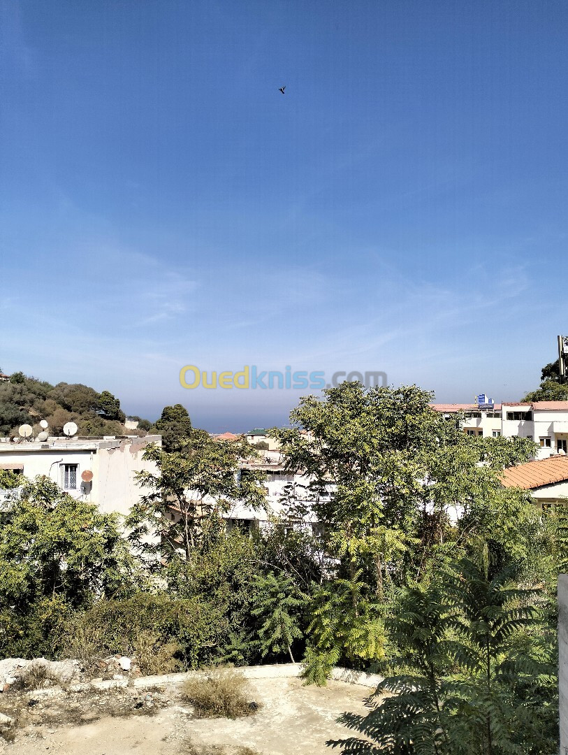 Vente Villa Alger El mouradia