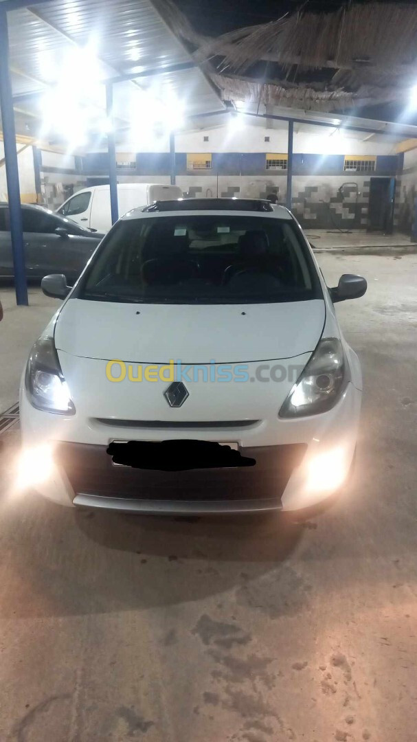 Renault Clio 3 2013 Night and Day