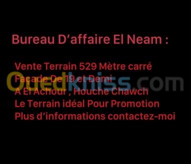 Vente Terrain Alger El achour