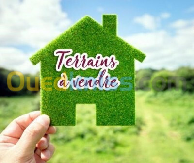 Vente Terrain Alger Saoula