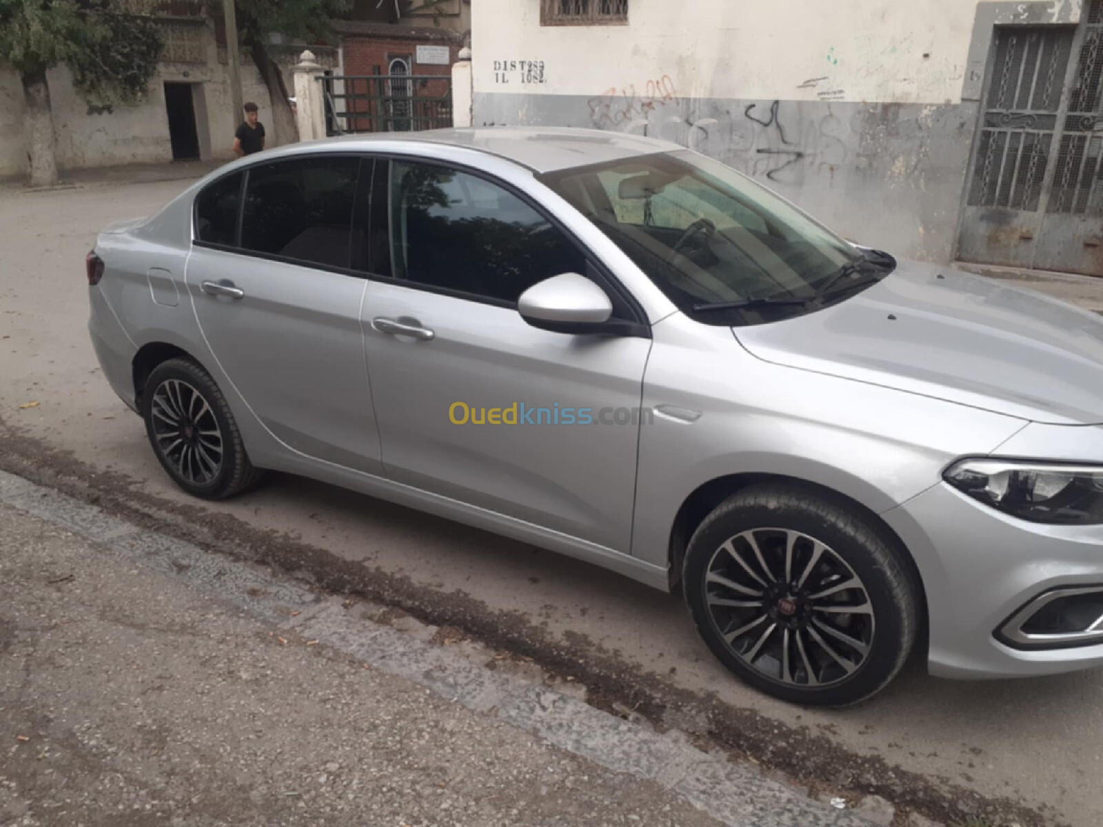 Fiat Tipo 2024 Live