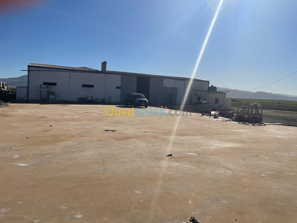 Vente Hangar Oran Tafraoui