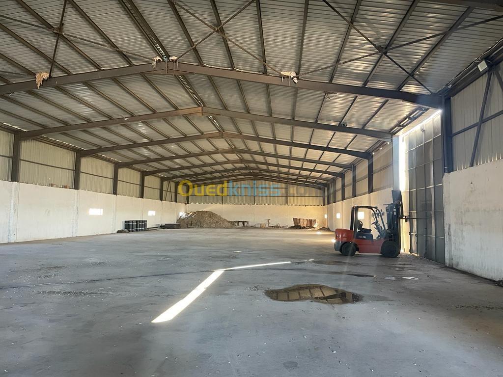 Vente Hangar Oran Tafraoui