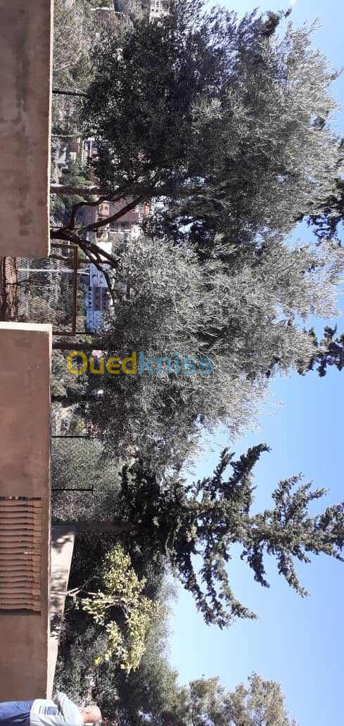 Vente Villa Aïn Témouchent Beni saf