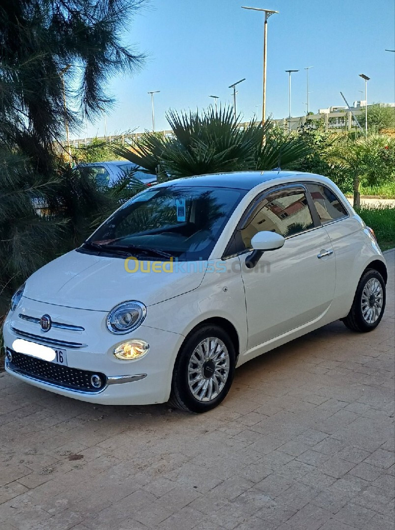 Fiat Fiat 500 2023 