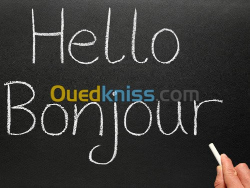 Cours particuliers Anglais et Français