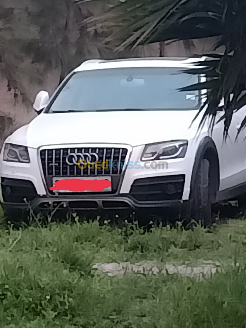 Audi Q5 2013 S Line