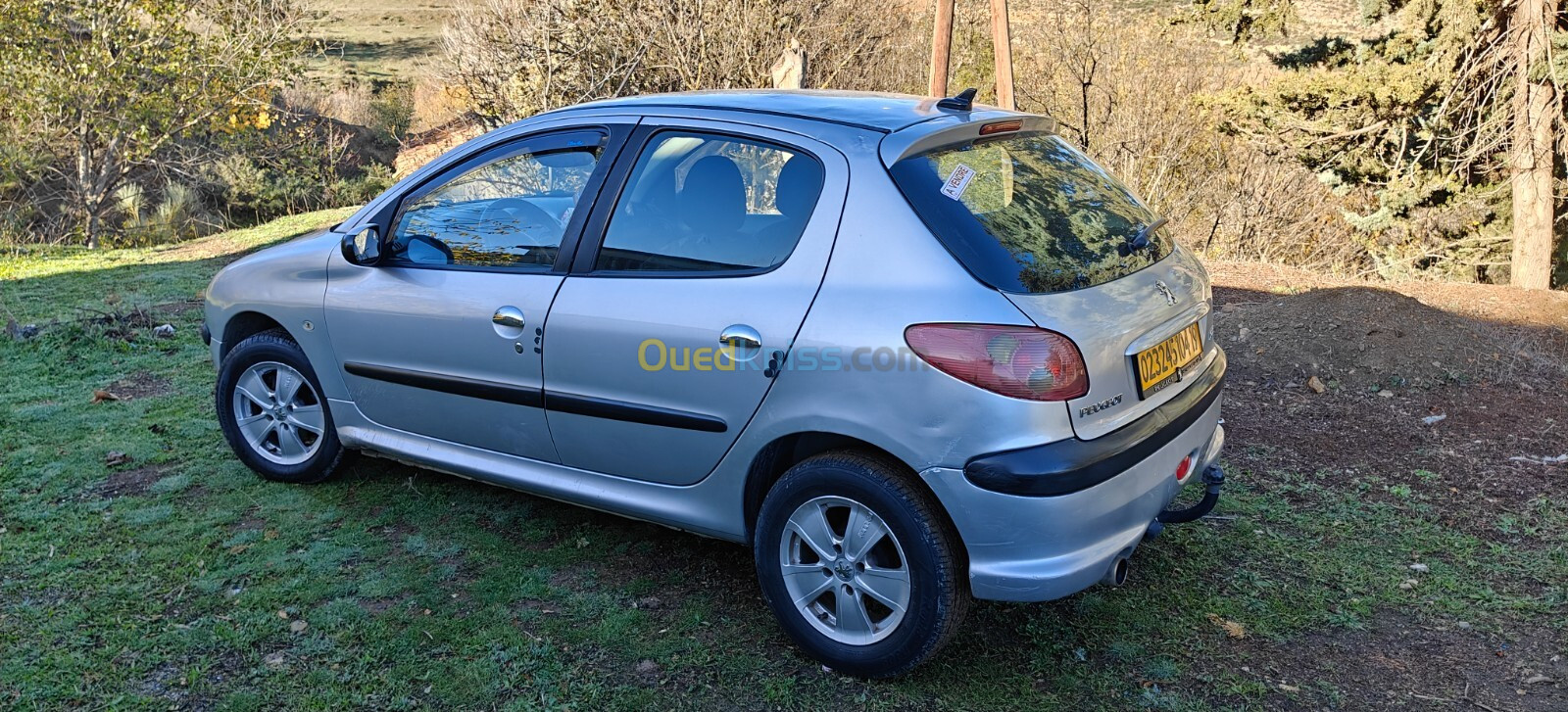 Peugeot 206 2004 206